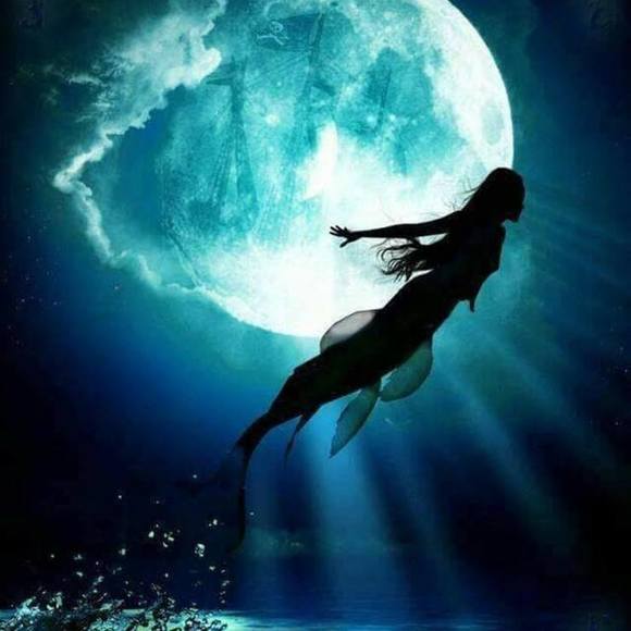 Meet your Posher, Ciara - Picture 1 of 1